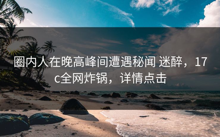 圈内人在晚高峰间遭遇秘闻 迷醉，17c全网炸锅，详情点击