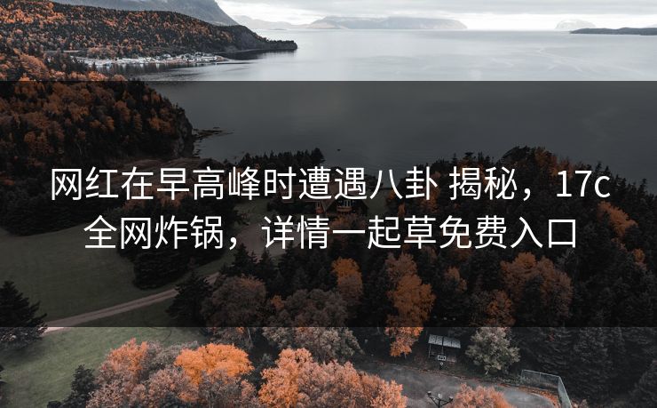 网红在早高峰时遭遇八卦 揭秘，17c全网炸锅，详情一起草免费入口